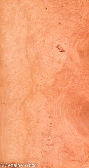 MADRONE BRL 22291-2C
