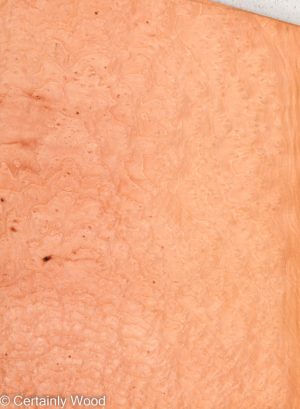 MADRONE BRL 22291-3B