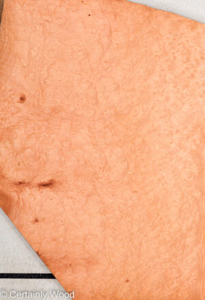 MADRONE BRL 22291-3D