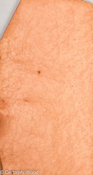 MADRONE BRL 22291-3F