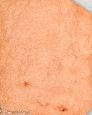 MADRONE BRL 22291-5C