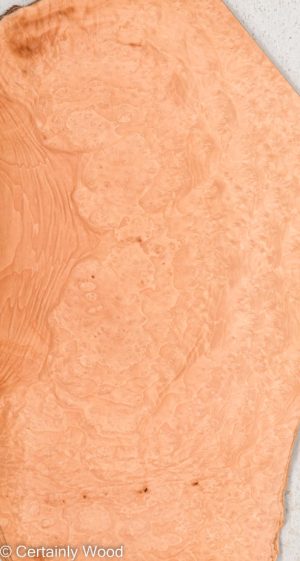 MADRONE BRL 22291-6B