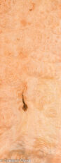 MAPLE_BURL_22472-8B_1.jpg