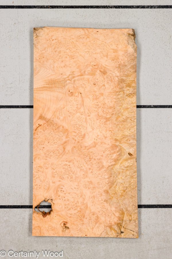MAPLE_BURL_24212-2_1.jpg