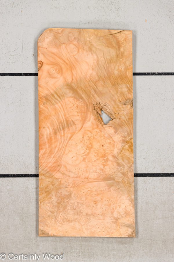 MAPLE_BURL_24212-4A_1.jpg