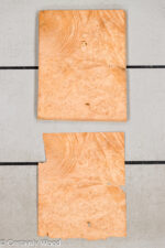 MAPLE_BURL_24212-4D_1.jpg