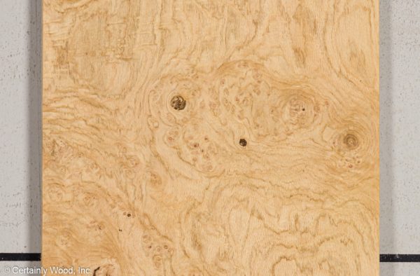 OAK_BURL_21452-14_1.jpg