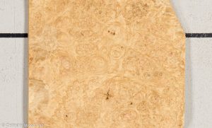 OAK BURL 21452-20B