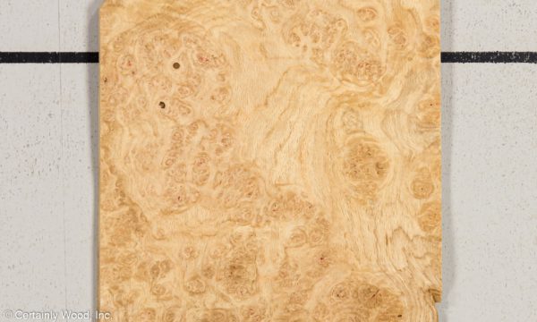 OAK_BURL_21452-22_1.jpg
