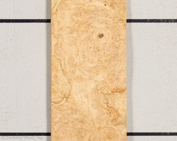 OAK_BURL_21452-24_1.jpg