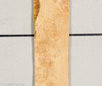 OAK_BURL_21452-25_1.jpg