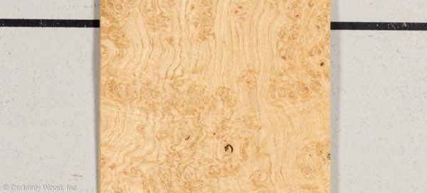 OAK_BURL_21452-28A_1.jpg