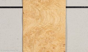 OAK BURL 21452-29A