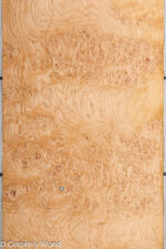 OAK_BURL_21502-4_1.jpg