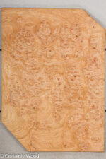 OAK_BURL_21502-5C_1.jpg