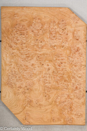 OAK BURL 21502-05C