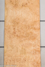 OAK_BURL_21502-6_1.jpg