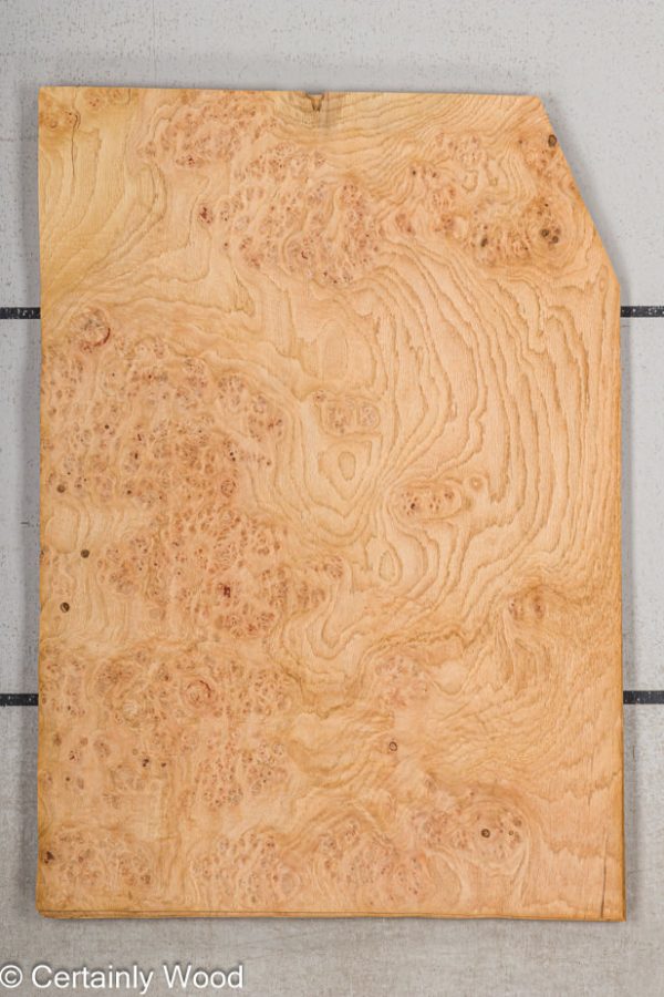 OAK_BURL_21502-7_1.jpg