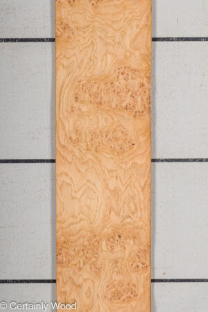 OAK BURL 21502-09A