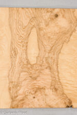 O_ASH_BURL_24125-6A_2-1.jpg