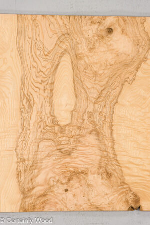 O ASH BURL 24125-06A