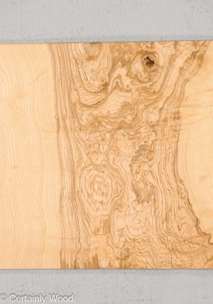 O ASH BURL 24125-06B