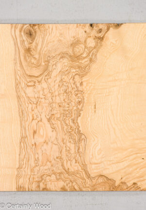 O ASH BURL 24125-06D