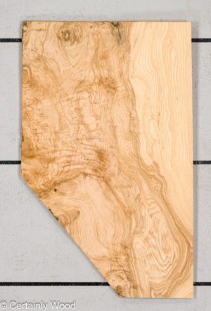 O ASH BURL 24125-09B