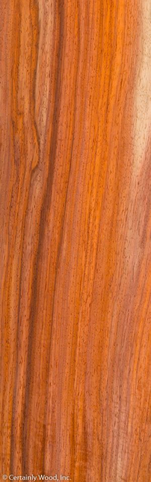 PADAUK 18152-06