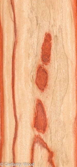 PADAUK 22296-1B