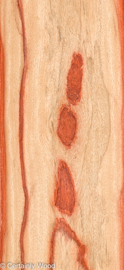 PADAUK_22296-1B_1-1.jpg