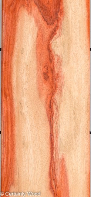 PADAUK 22296-1E