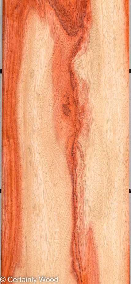 PADAUK_22296-1E_1-1.jpg