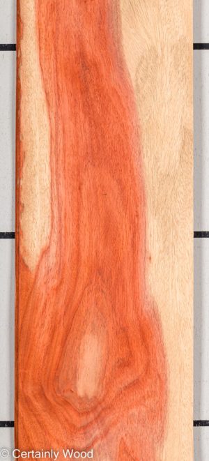 PADAUK 22296-1F