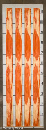 PADAUK_22296-2B_2-1.jpg