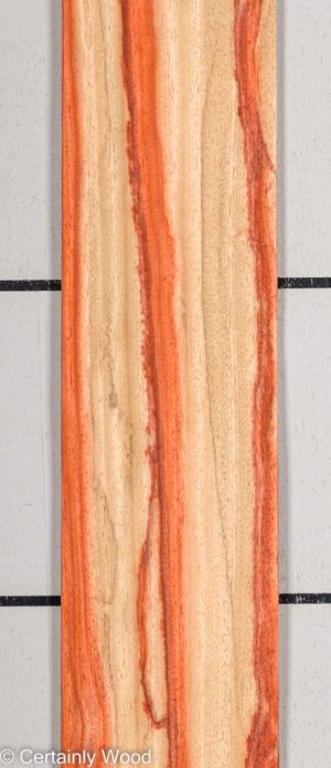 PADAUK 22296-6C