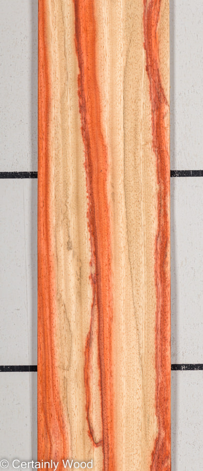 PADAUK_22296-6C_1-1.jpg