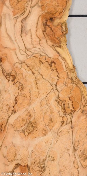 PEPPER BRL 21196-07A