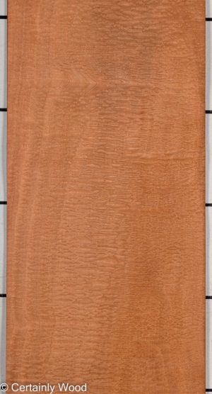 P SAPELE 22280-1
