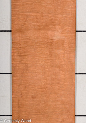 P SAPELE 22281-1