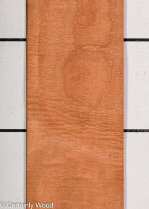 P SAPELE 22281-3