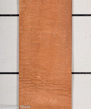 P SAPELE 22281-4