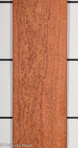 P SAPELE 22410-1