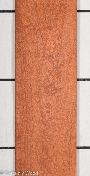 P SAPELE 22410-2