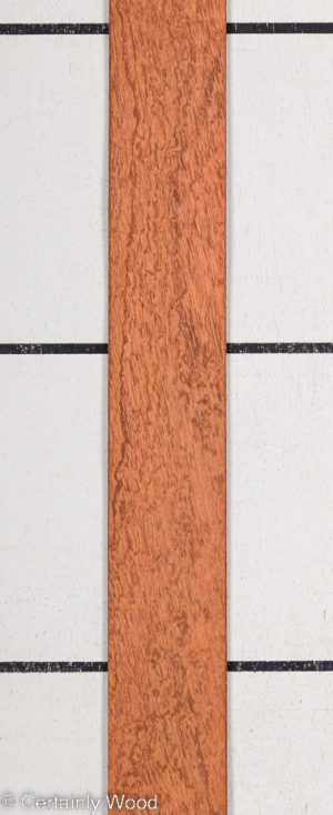 P SAPELE 22410-5