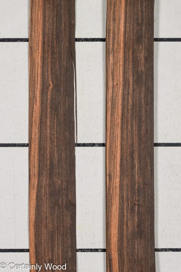 QT_EBONY_24333-4_1.jpg QT_EBONY_24333-4_1.jpg