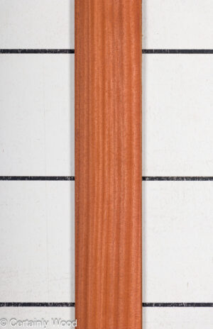 QT SAPELE 23495-09B