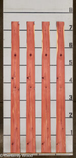 R_CEDAR_25130-2_2.jpg
