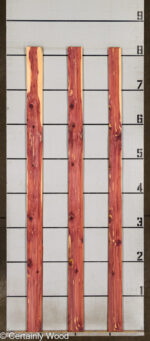 R_CEDAR_25132-2_2.jpg