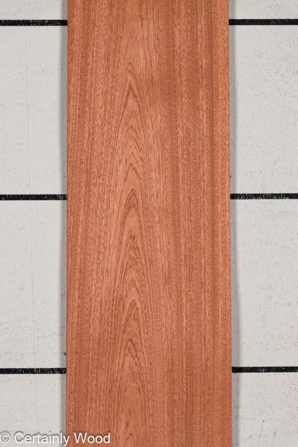 SAPELE_25027-1B_1.jpg